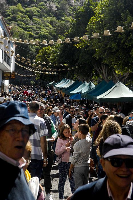 FIESTAS DEL ALMENDRO EN FLOR TEJEDA