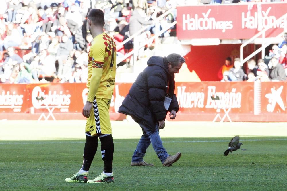 El Sporting - Nástic, en imágenes