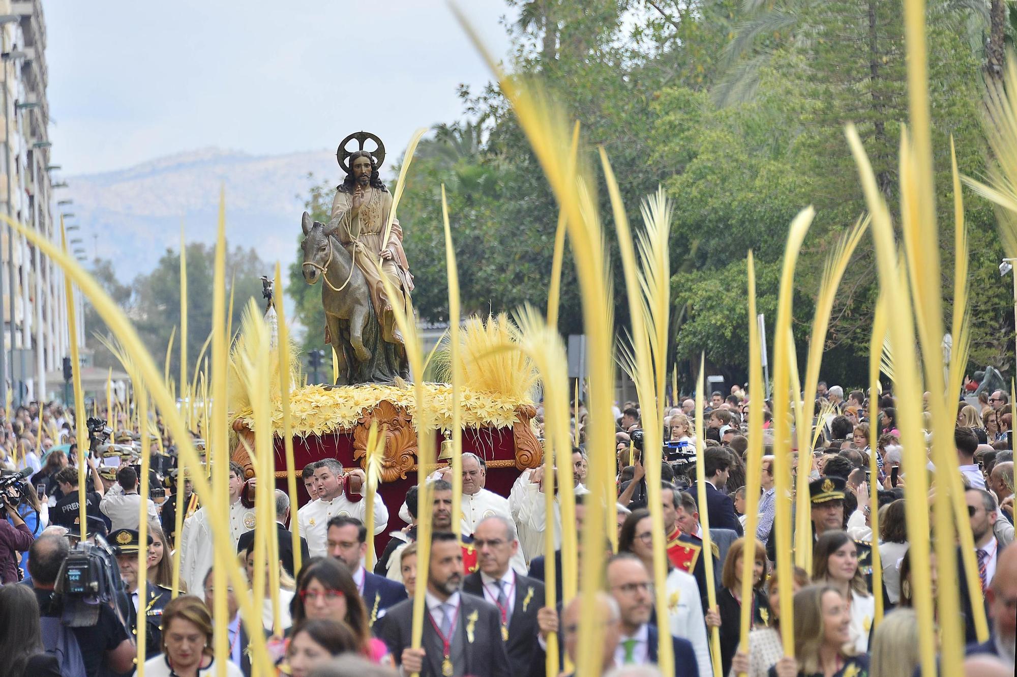 Miles de palmas protagonizan el Domingo de Ramos en Elche