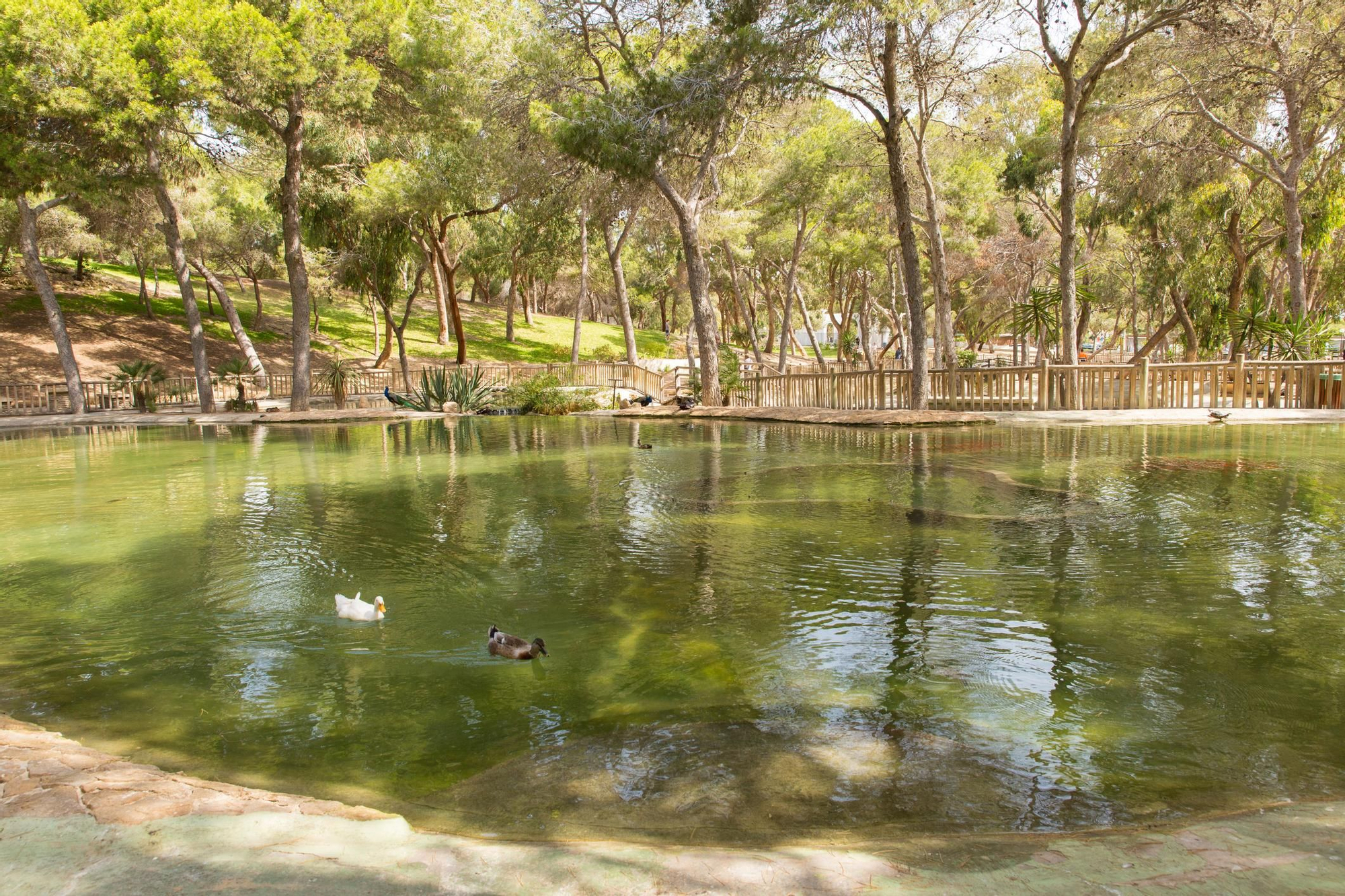 Parque Reina Sofía en Guardamar