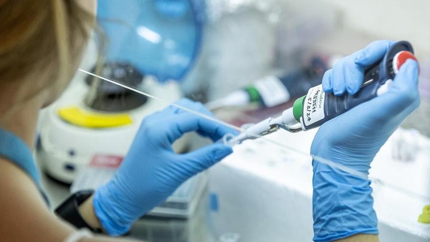 La universidad se casa con los hospitales, cuando hay crisis, y con la empresa, si hay bonanza económica