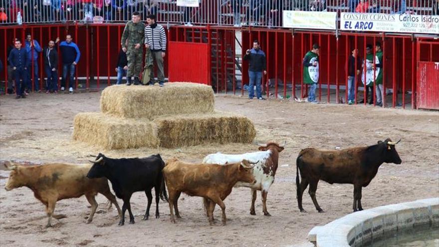 Mujeres y niños tendrán capeas y encierros para ellos en el Carnaval