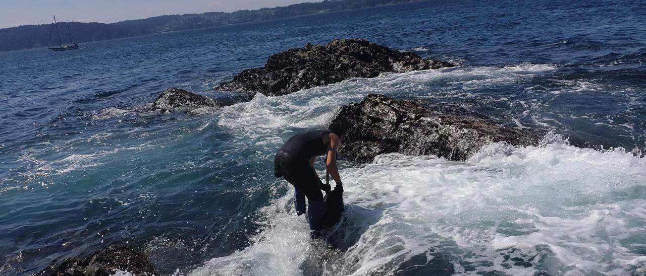 Un bateeiro arousano en plena recolección de mejilla en la ría de Ares-Betanzos, ayer.