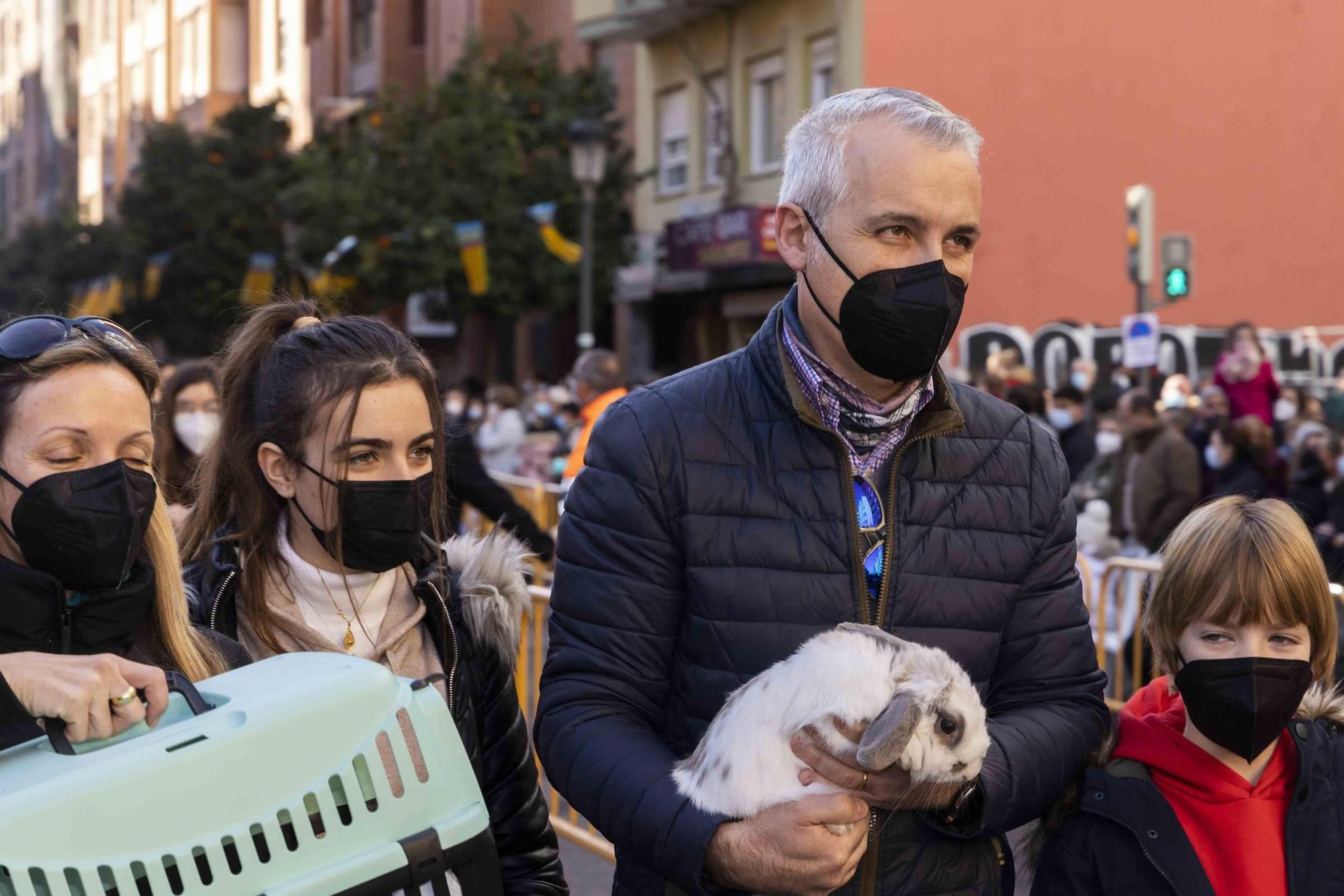 Búscate en la bendición de animales de Sant Antoni