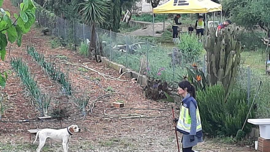 El asesino de Manacor quemó el cadáver de su madre durante horas hasta dejarlo desmembrado