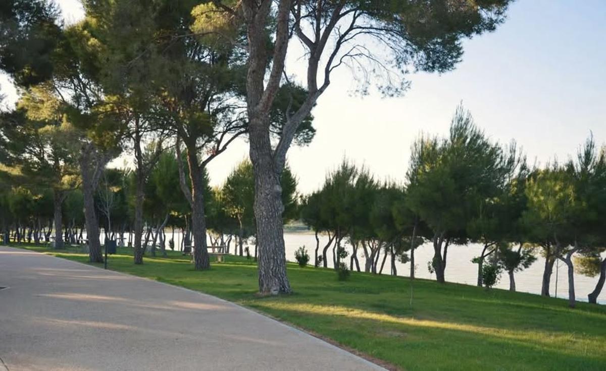 Acondicionamiento y mejora de las zonas verdes.