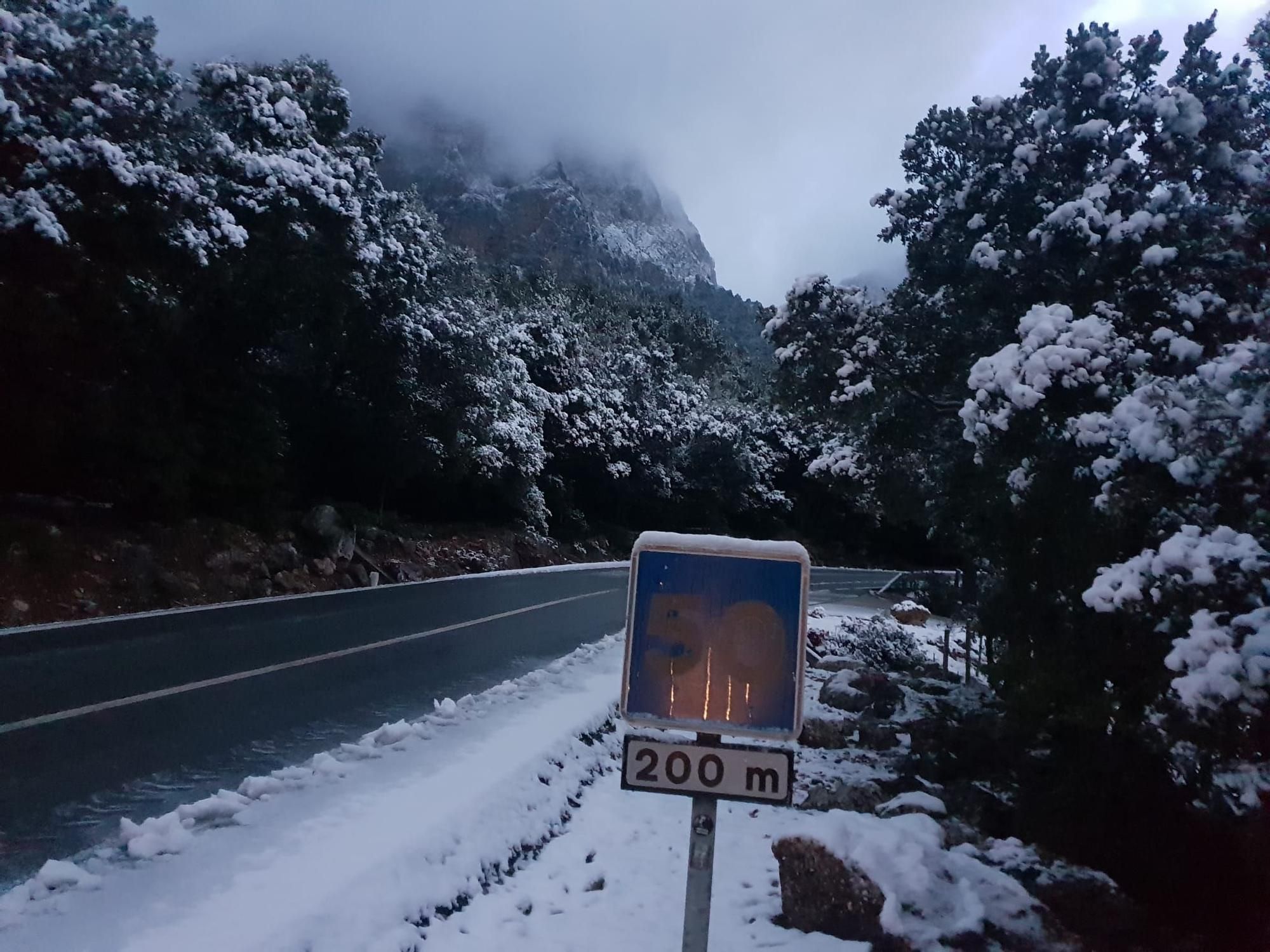 Schnee in der Serra de Tramuntana auf Mallorca (23.1.2023)