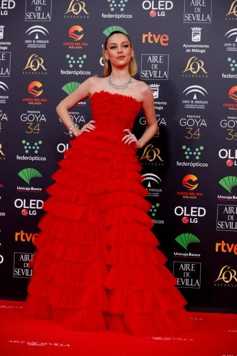 Alfombra roja de los Premios Goya 2020.