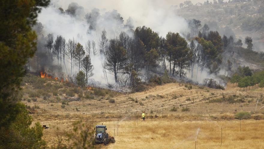 Incendios en plena ola de calor en Aragón: Nonaspe se convierte en el foco