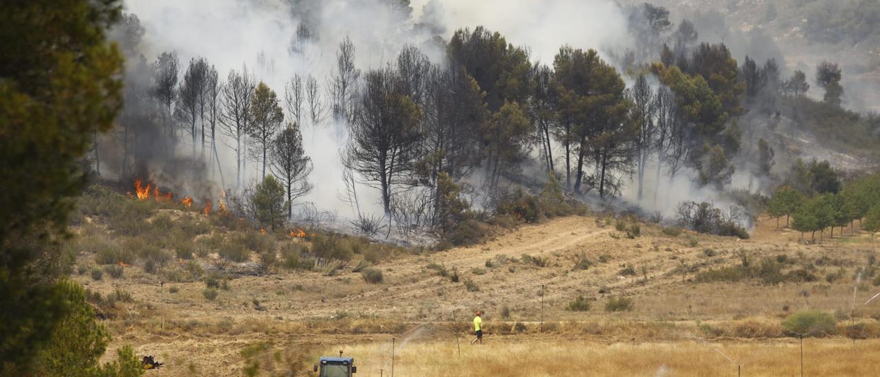 VÍDEO | El incendio forestal de Nonaspe ha calcinado ya más de 1.200 hectáreas