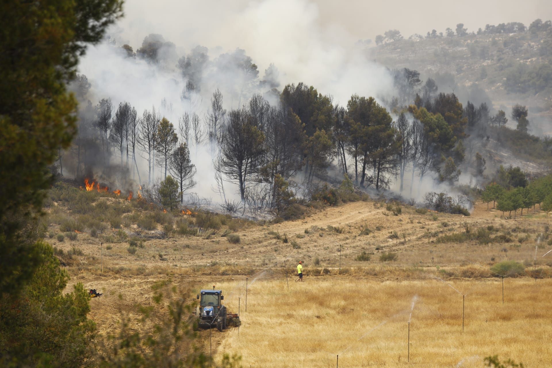 FOTOGALERÍA | El incendio forestal en Nonaspe, en imágenes