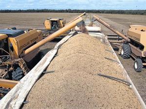 Recol·lecció de soja a l’estat de Mato Grosso, al Brasil, un dels principals productors del món.