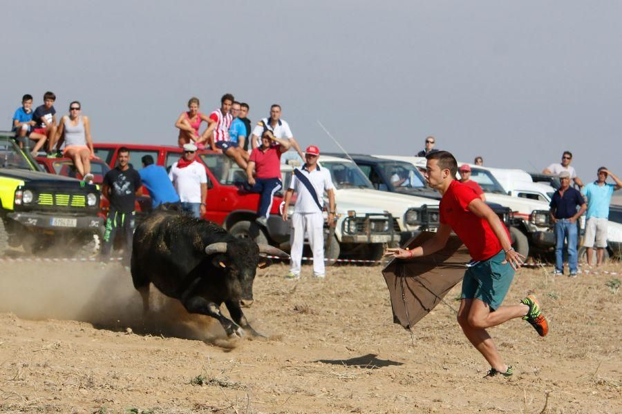 Villalpando despide los toros