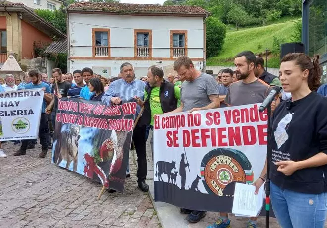Los empresarios turísticos respaldan la protesta ganadera contra los lobos