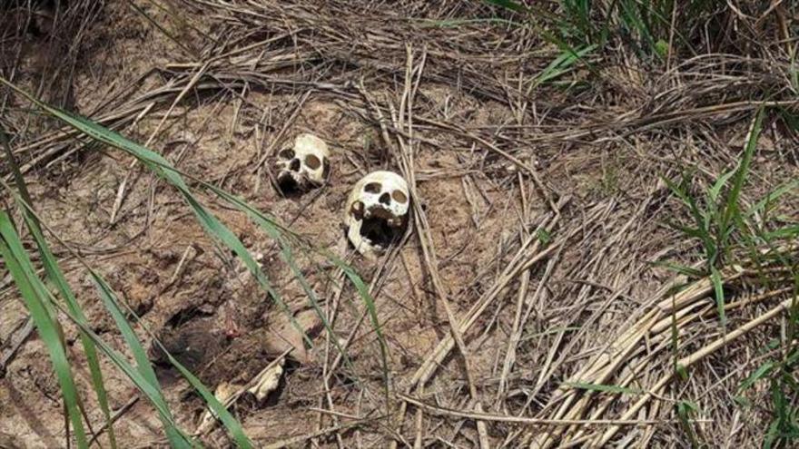 México: Al menos 15 cuerpos han sido hallados en fosas clandestinas en Veracruz
