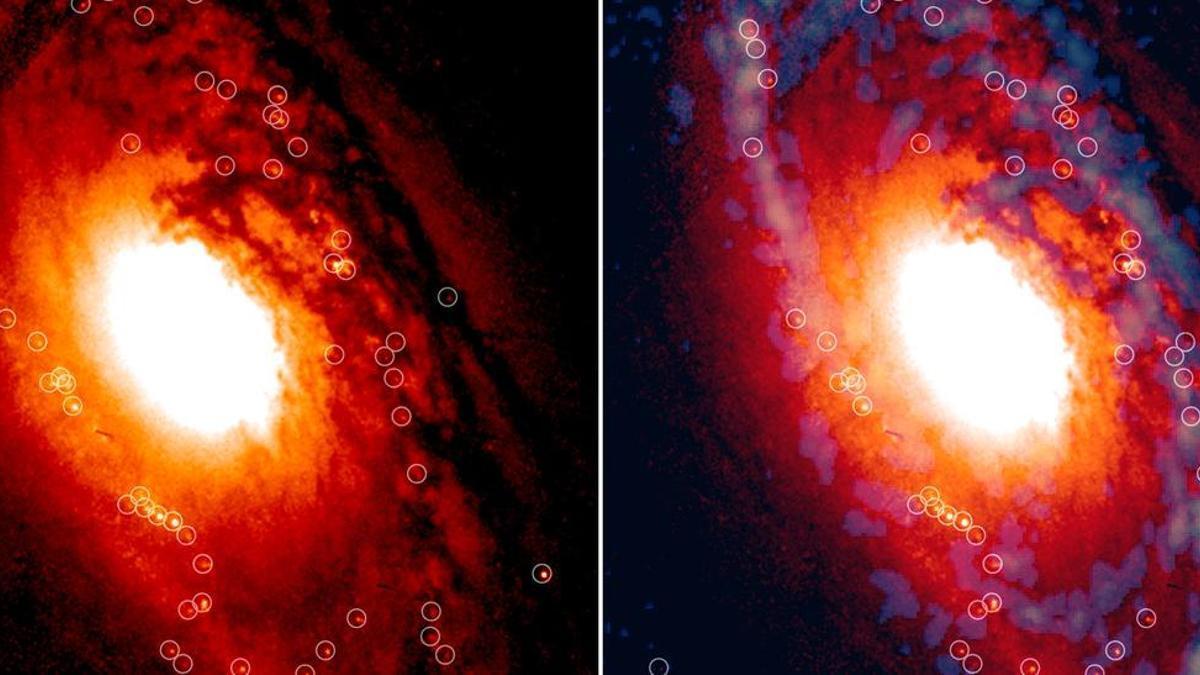 A la izquierda, la visión de la galaxia captada por el telescopio espacial HST y a la derecha, la misma visión captada por el radiotelescopio ALMA.