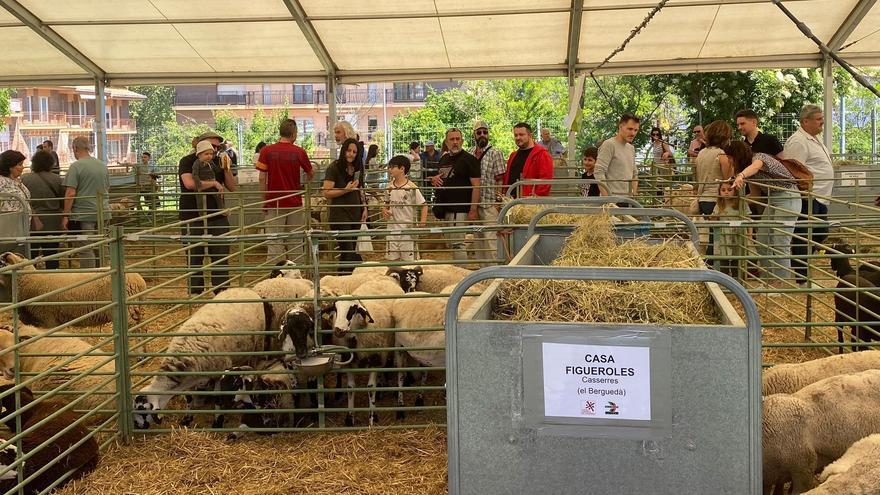 Solsona acull una Fira de Sant Isidre amb accent pagès