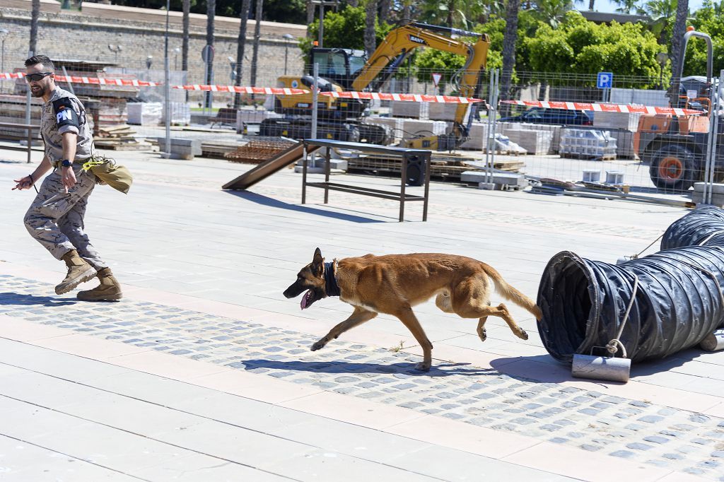 Día de las Fuerzas Armadas 2022 en Cartagena