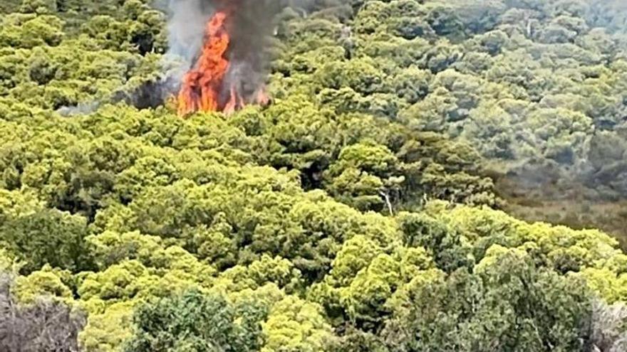 El momento exacto en el que se inició el fuego en El Saler