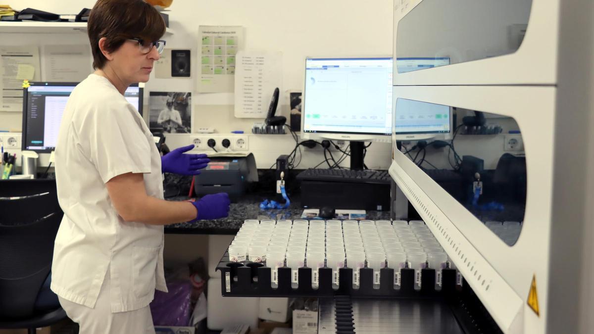 El Laboratori Clínic Territorial de Girona va processar l'any passat 31 PCR per saber si els pacients tenien aquestes malalties tropicals importades