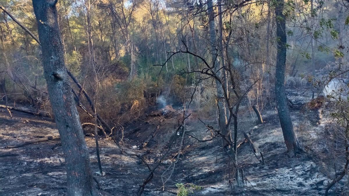 Así ha quedado la Murta y la Casella tras el incendio