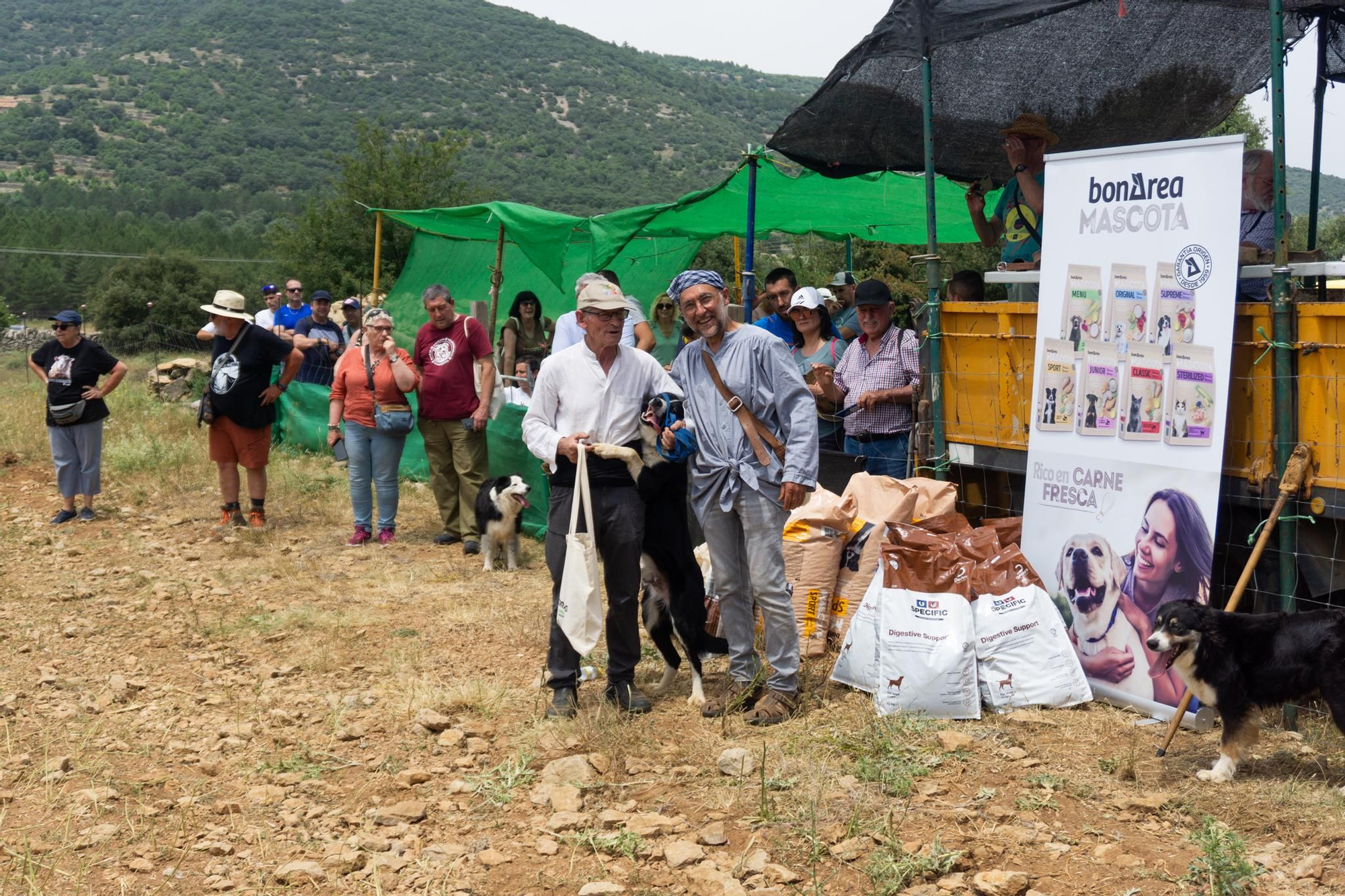 FOTOGALERÍA: Las imágenes del concurso de perros pastores de Ares del Maestrat