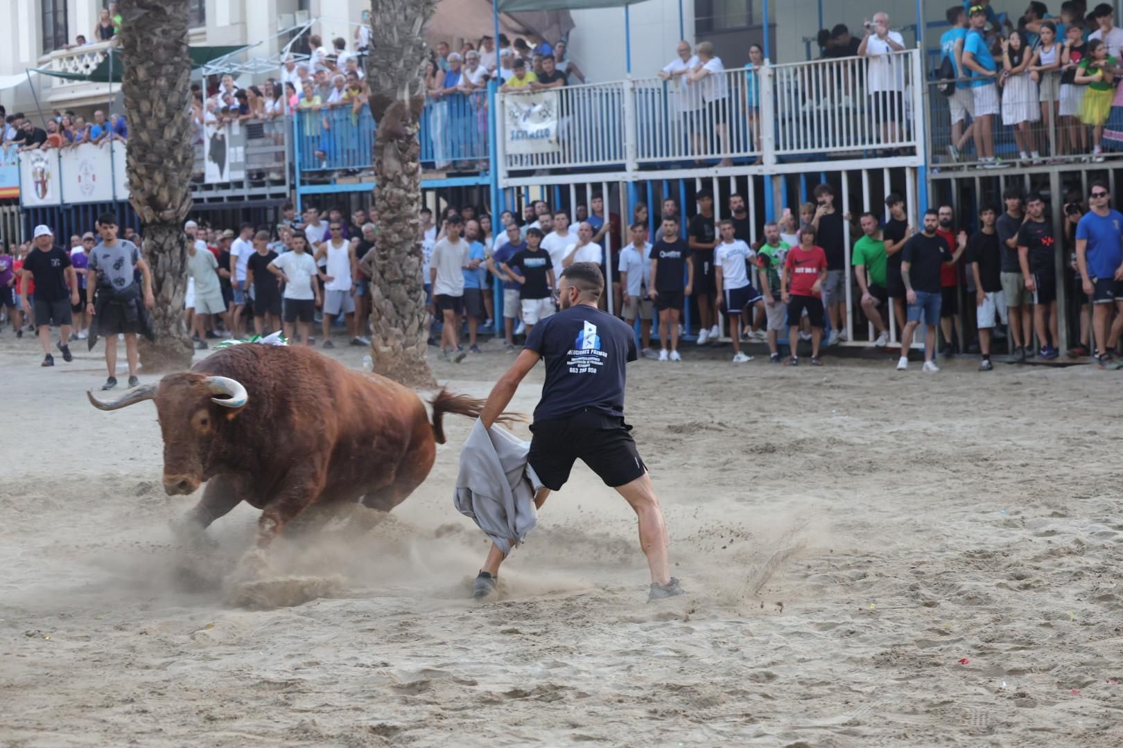 Galería | Intensa jornada taurina en Sant Pere 2025
