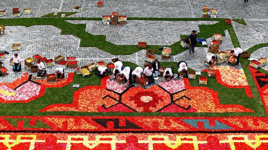 Treballs d&#039;elaboració de la catifa de flors que cada dos anys decora la Grand Place de Brussel·les