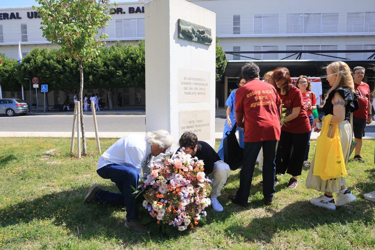 Día del donante de órganos en el Hospital General de Alicante