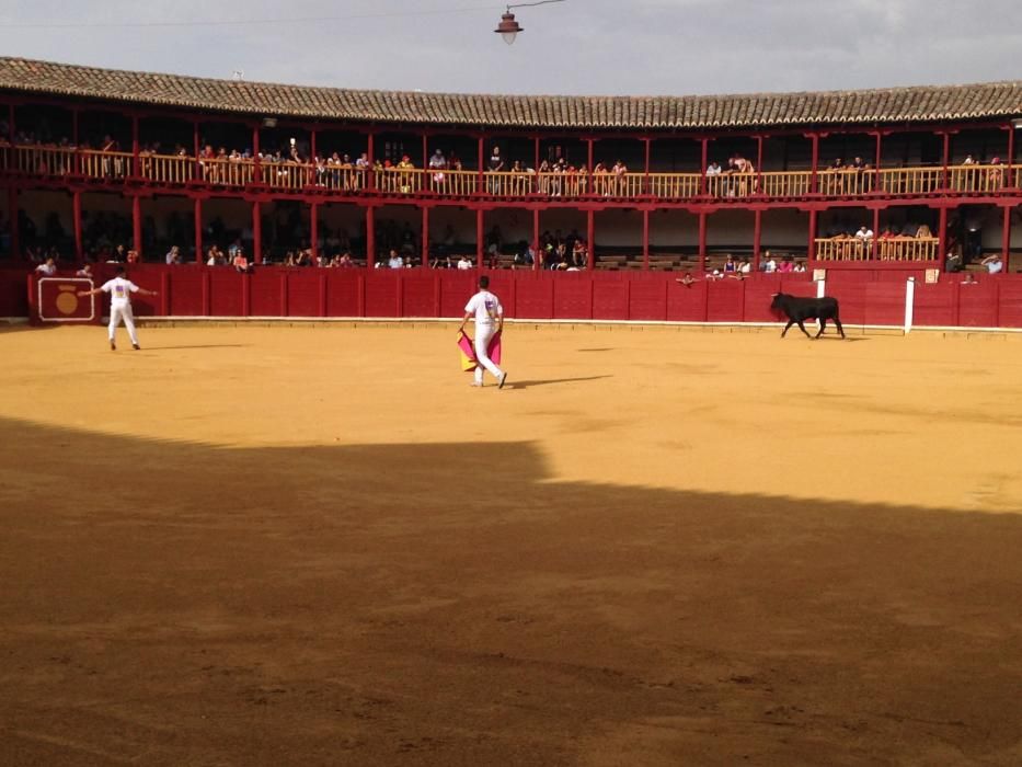 Fiestas Toro- concurso de jóvenes cortadores