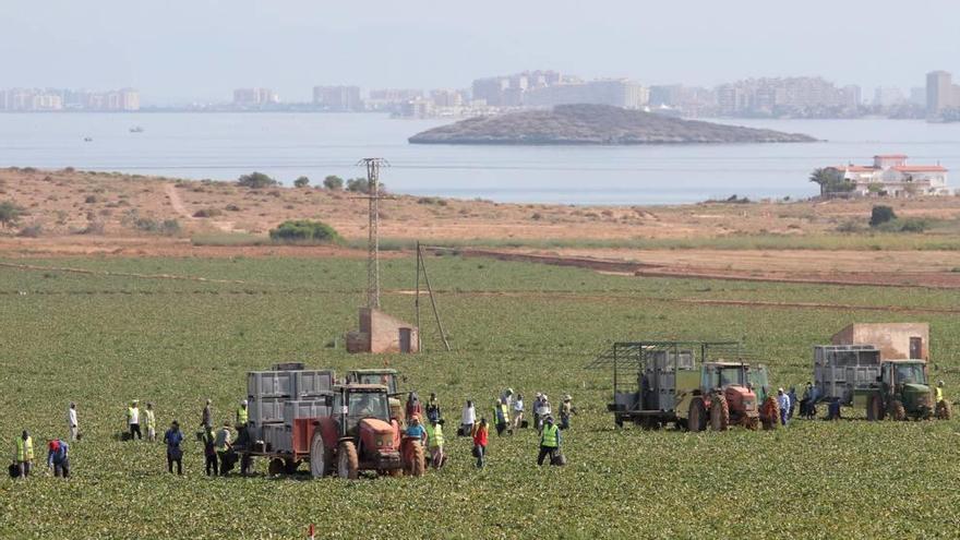 Terrenos de secano convertidos en regadío en el Arco Sur del Mar Menor que han sido denunciados por el fiscal Díaz Manzanera en una primera querella.