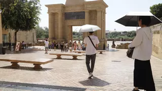 La ola de calor deja más de 42 grados en Montoro este miércoles
