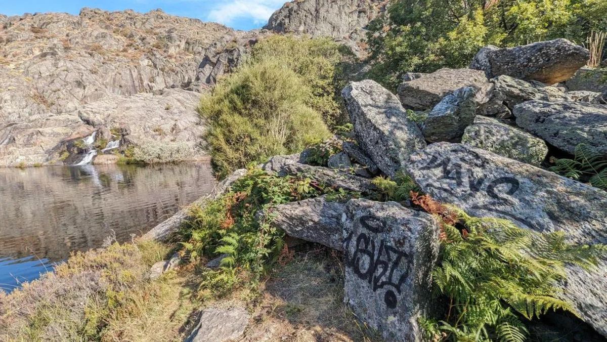 Pintadas en el Cañón del Tera