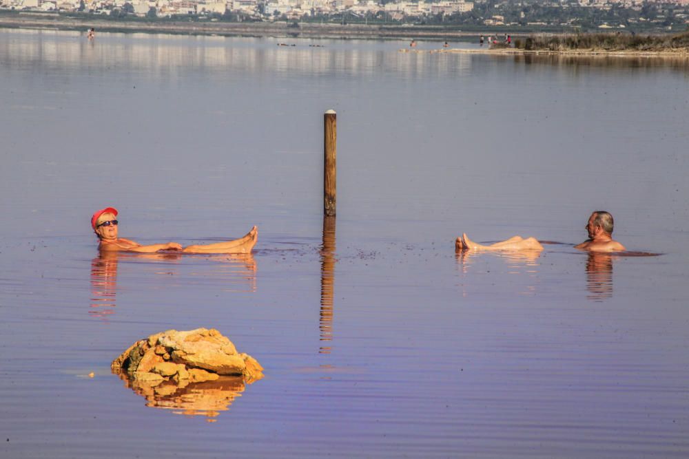 Guardia Civil y Policía cierran el paso a los bañistas en la laguna de Torrevieja. El personal del parque natural y agentes ambientales de la Generalitat informan sobre la prohibición de baño