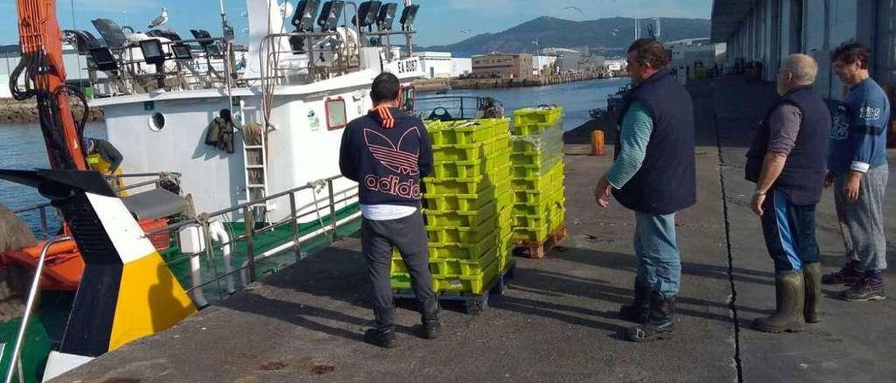 Una descarga de pescado en el puerto vigués por parte de un cerquero la semana pasada. // Ángel Bouzón