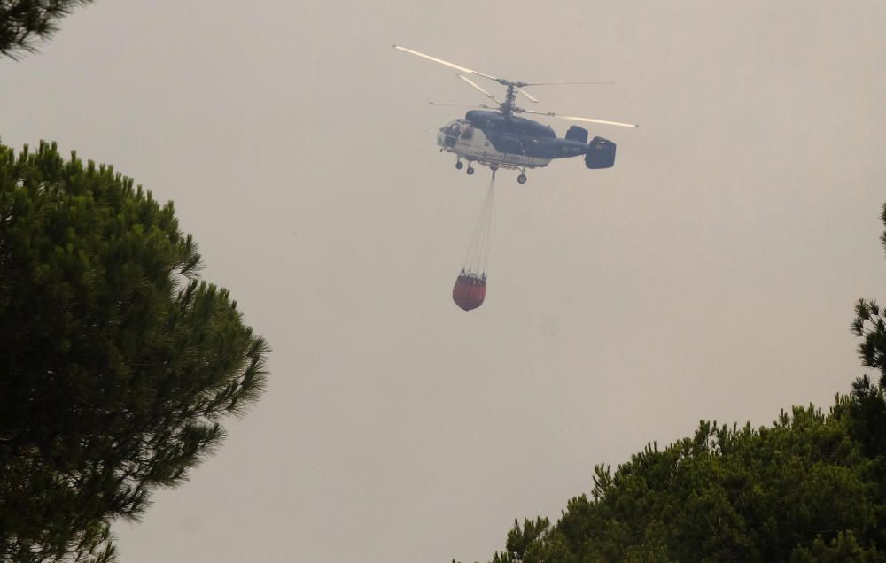 El incendio de Moguer alcanza el Espacio Natural de Doñana