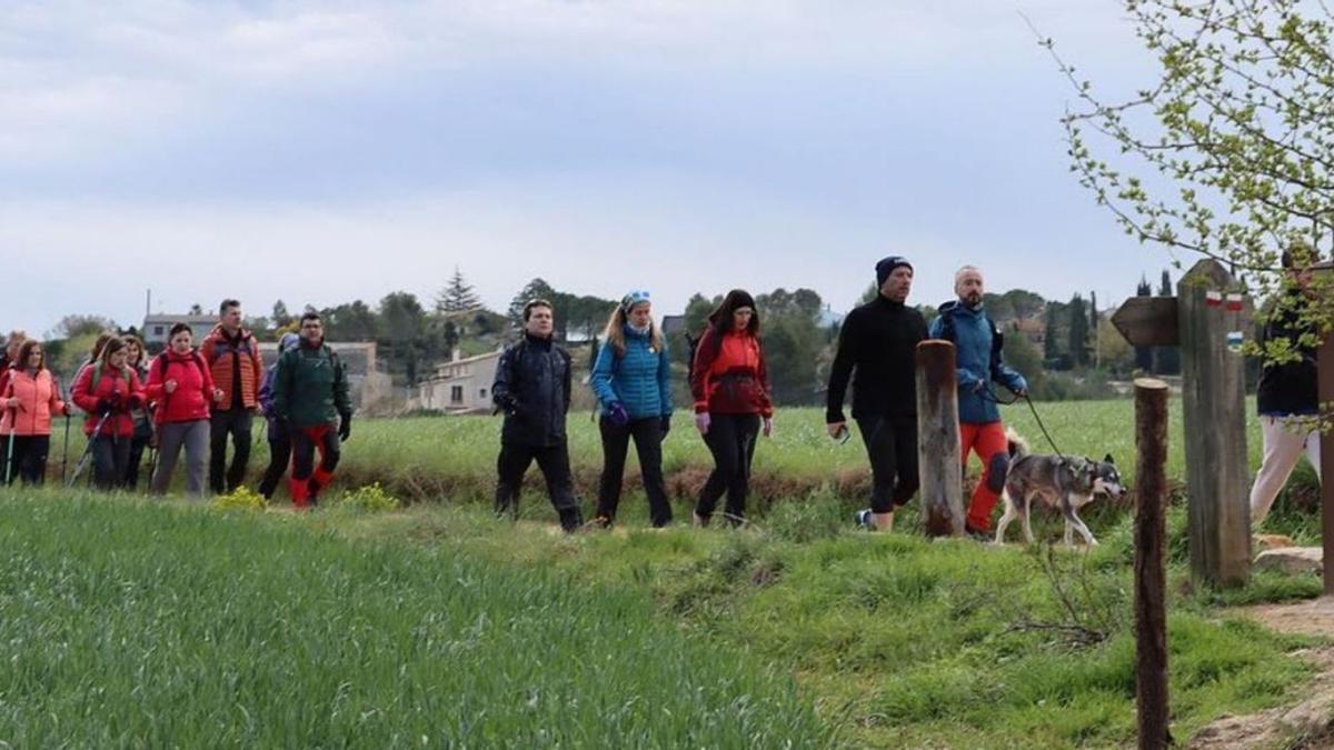 Alguns participants a la caminada, en la setena edició  | AJM