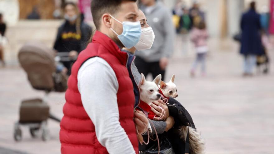 Una pareja con mascarilla pasea con sus perros.