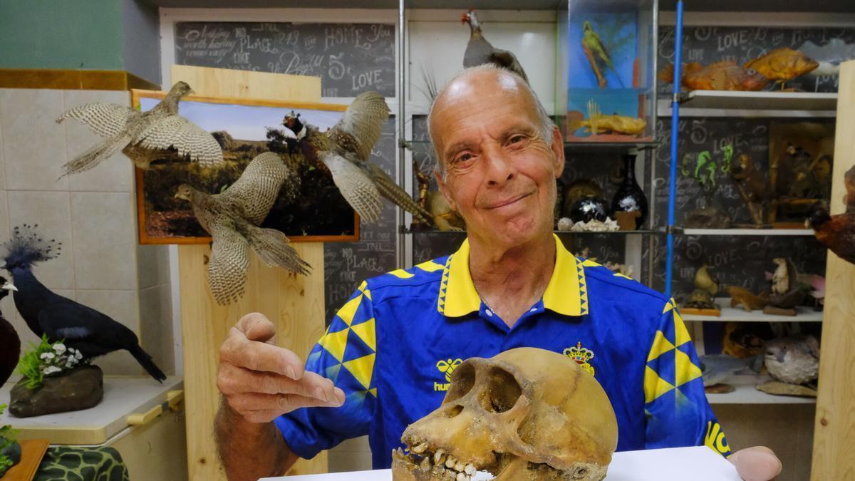 El taxidermista Rafael Román conserva el cráneo del mono Felipe
