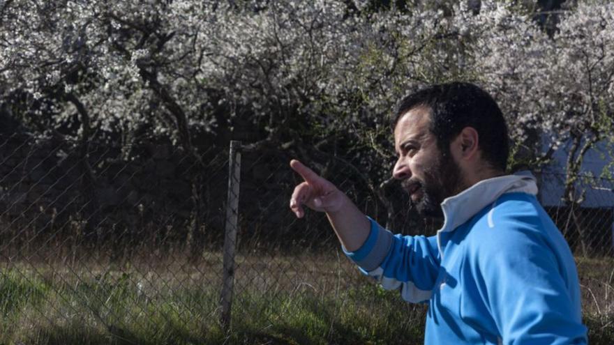 Almendros en flor en Fermoselle. | Nico Rodríguez