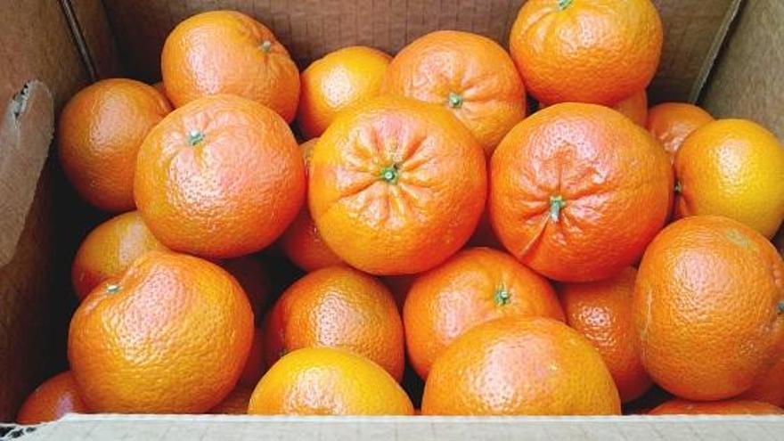 Correos activa un servicio especial para vender naranjas a través de internet