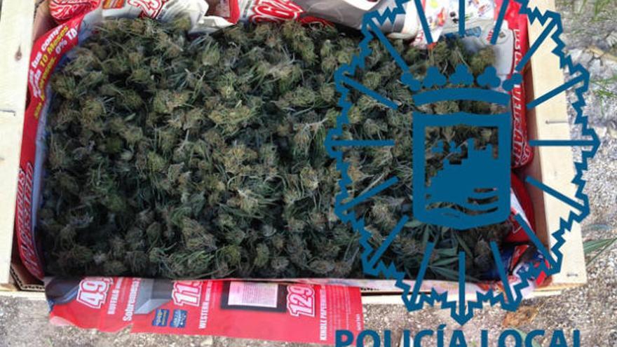 Parte de la marihuana incautada por la Policía Local de Málaga.