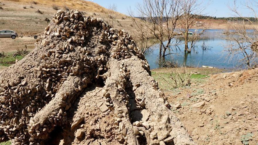 Ampliado el plazo de ayudas a los préstamos agrarios por la sequía