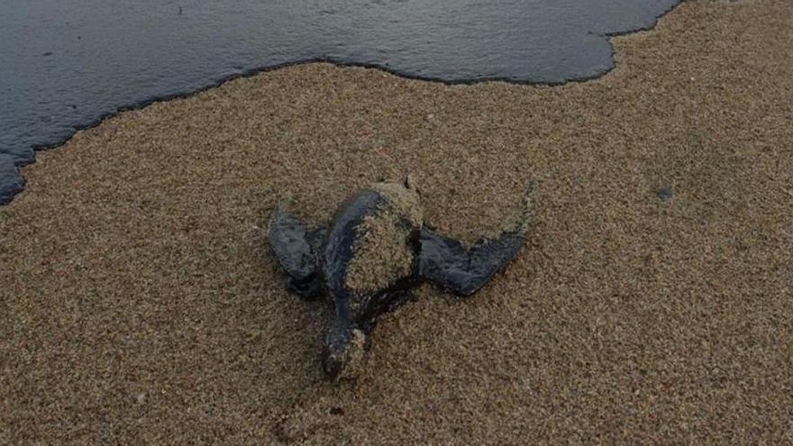 Un lustro de luto en la costa gallega