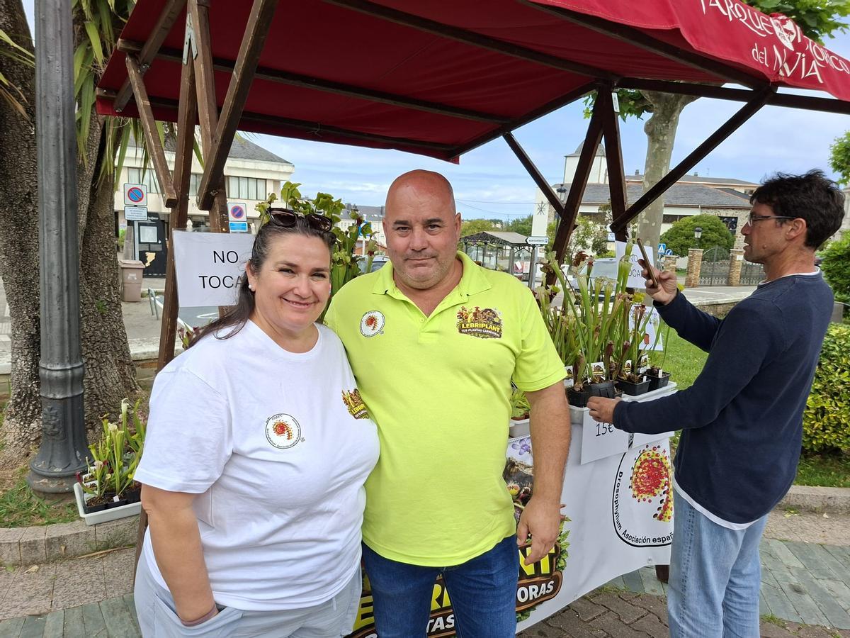 En imágenes: La primera feria de jardinería del Occidente llena La Caridad de color y buen ambiente