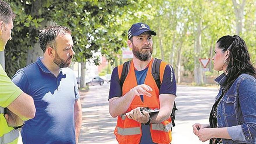 Contratan una asesoría técnica para cuidar árboles monumentales