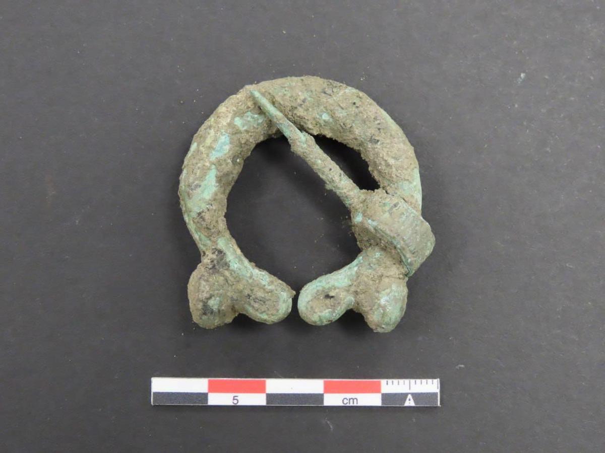 Los nuevos "tesoros" de la Campa Torres, en imágenes Los nuevos "tesoros" de la Campa Torres, en imágenes