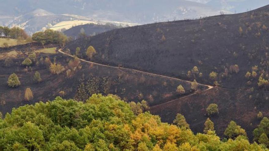 La Sierra de Ancares en Lugo arrasada por el fuego