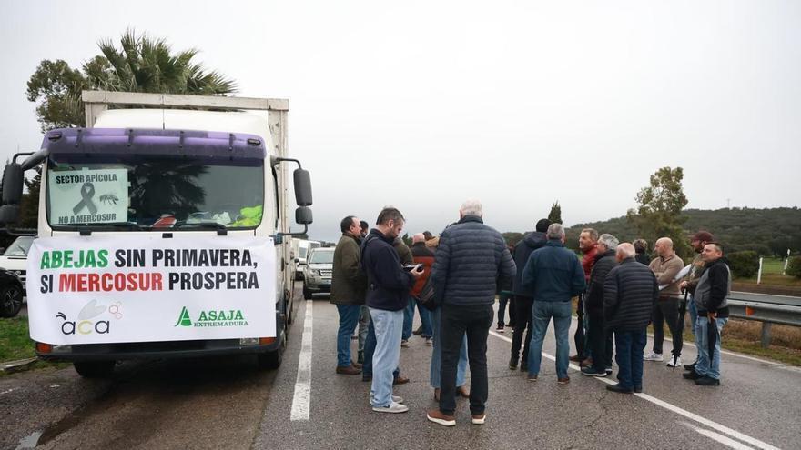 Sigue en directo la protesta de los agricultores extremeños en Cáceres