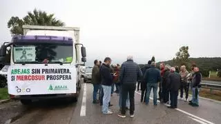 Sigue en directo la protesta de los agricultores extremeños en Cáceres